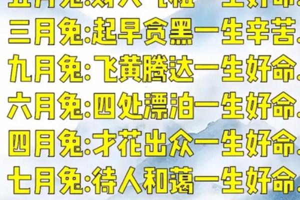 属兔的和什么属相最配、相克