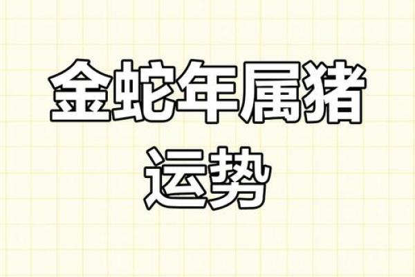 属猪女2025年运势_属猪女2025年运势及运程详解 属猪女2025年运势_属猪女2025年运势及运程详解