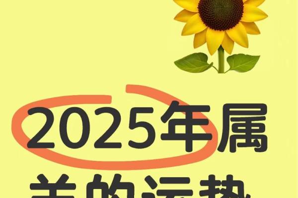 属羊人运势2025_2025年属羊人运势详解财运事业爱情全面解析 属羊人运势2025_2025年属羊人运势详解财运事业爱情全面解析