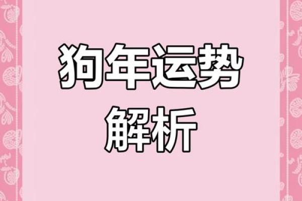 2025年属狗人全年运势详解70年出生者运程预测