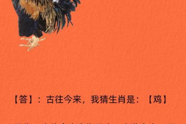 问五今秋几时黄是什么生肖