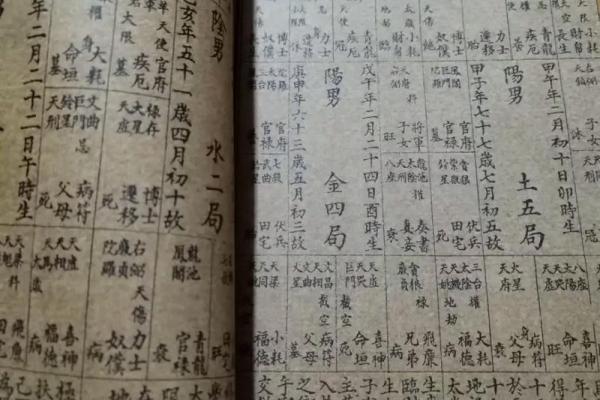 陈仲易紫微斗数水平如何_陈仲易紫微斗数水平解析专业评价与实战分析 陈仲易紫微斗数水平如何_陈仲易紫微斗数水平解析专业评价与实战分析
