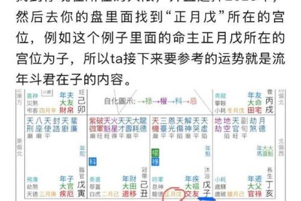 2025年3月15日丑时男命紫微斗数全解盘 2025年3月15日丑时男命紫微斗数全解盘