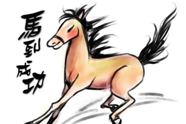 属马2019年运势 属马2019年运势