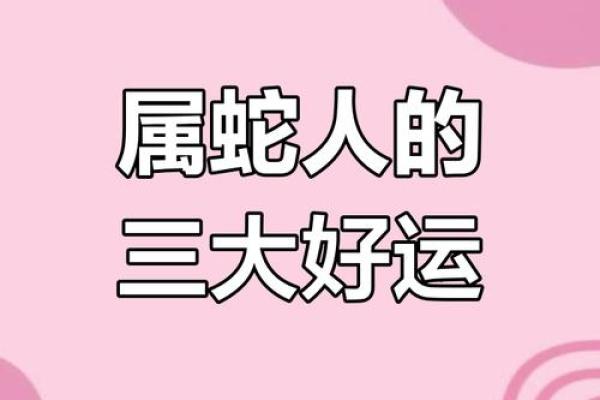 属蛇人2023年运势完整版 属蛇人2023年运势完整版