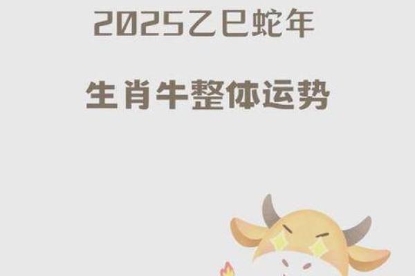 79岁属猪人2025年运势详解健康财运感情全解析