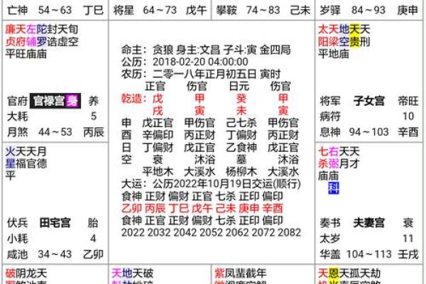2025年2月22日寅时女命紫微斗数全解盘