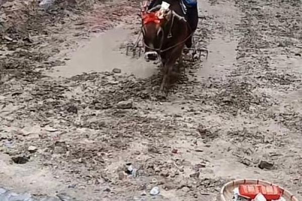 那天可以动土(那天可以动土建房)