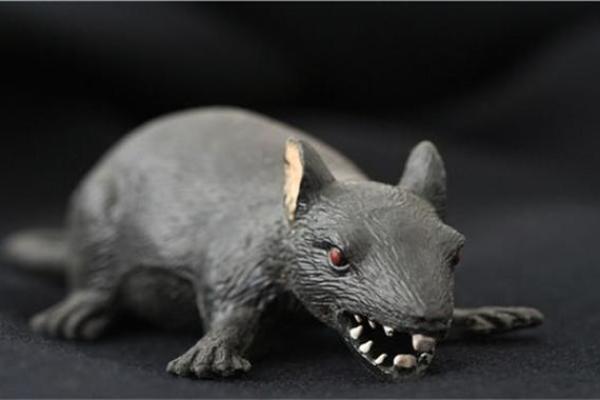 伶牙俐齿的动物是什么生肖 伶牙俐齿的动物是什么生肖