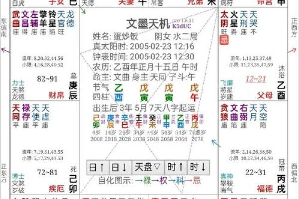 2025年2月16日丑时女命紫微斗数全解盘