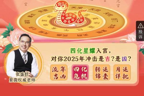 2025年2月20日子时女命紫微斗数全解盘 2025年2月20日子时女命紫微斗数全解盘