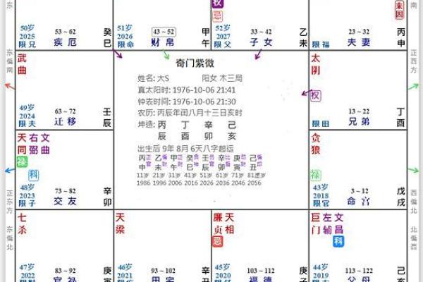 2025年2月28日子时男命紫微斗数全解盘 2025年2月28日子时男命紫微斗数全解盘