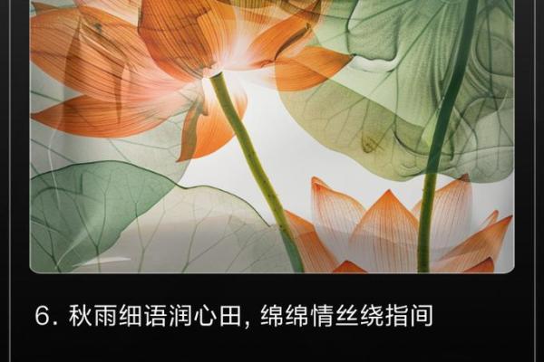 秋雨绵绵是什么生肖