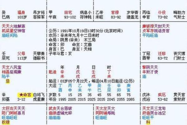 2025年3月3日子时男命紫微斗数全解盘