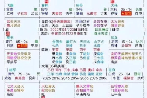 2025年3月25日子时女命紫微斗数全解盘