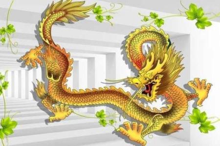 属龙人2019年运势