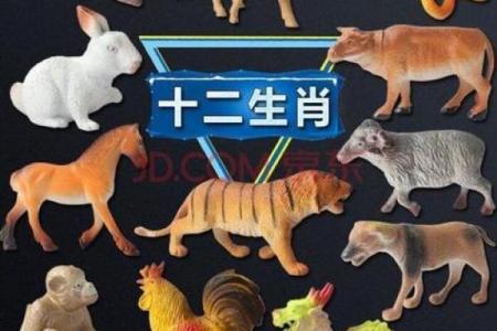 野性难驯是什么生肖