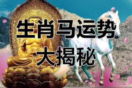 属马的2022年运势和财运怎么样