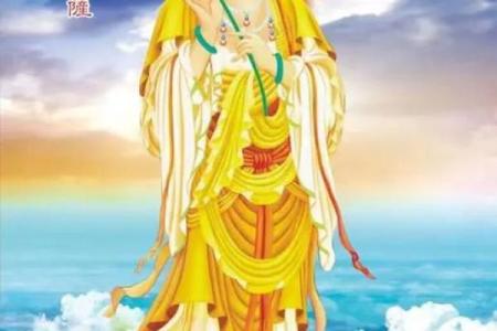 属马人本命年运势如何_属马的本命年运势