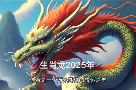 1976年龙人2025全年每月运势详解