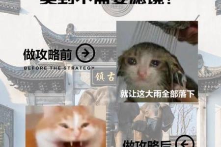 江南水乡打一生肖