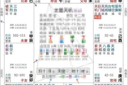 2025年2月17日子时男命紫微斗数全解盘