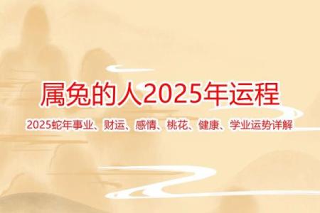 属兔人今年运势2025年运势_2025年属兔人运势解析全年运程大揭秘