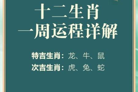 2022是什么年生肖