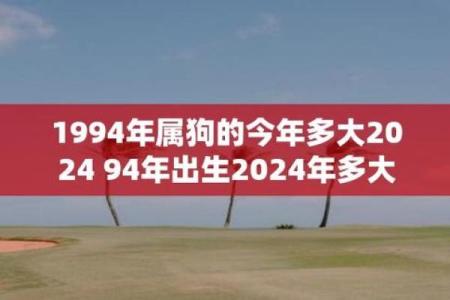 94年属狗2025年姻缘_94年狗正缘在哪年