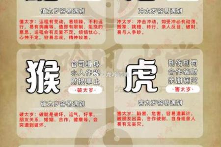 改朝换代什么生肖