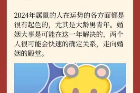 2024年适不适合结婚有什么忌讳呢女生