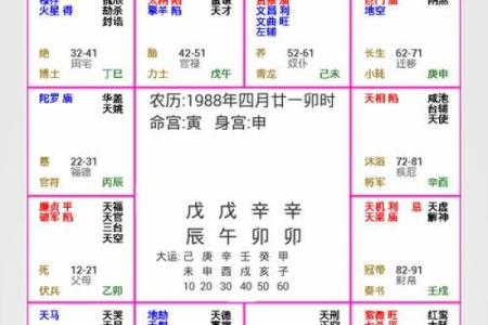 2025年3月26日子时男命紫微斗数全解盘