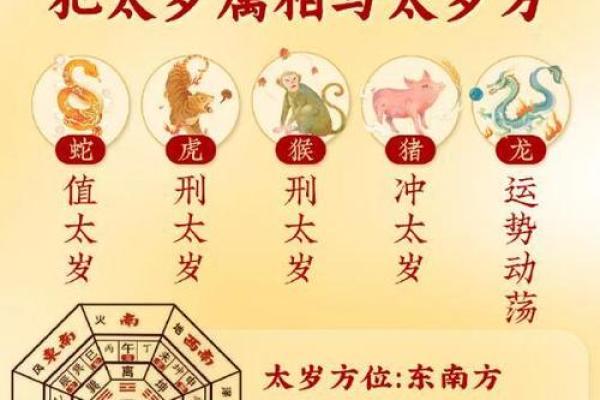 火眼金睛打一准确生肖