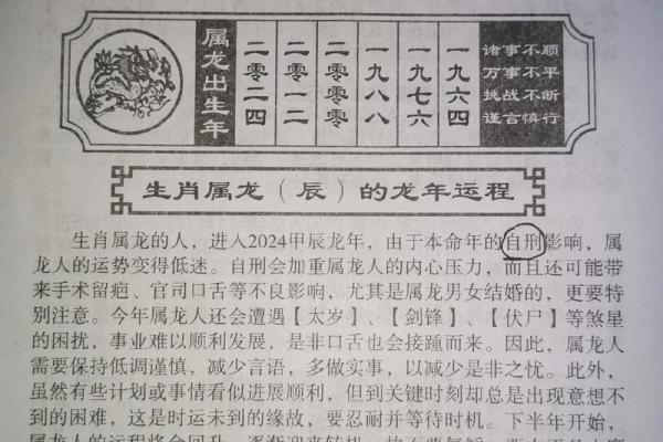 64年属龙人2025全年运势详解运程吉凶全解析