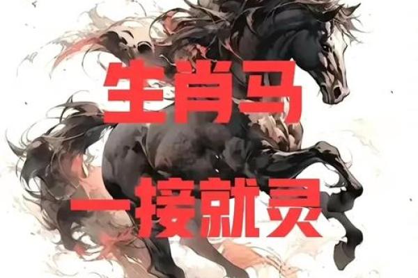 1978年2月初七出生属马人的命运 1978年农历二月初七马年生人一生命运解析