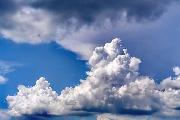 白云苍狗打一个生肖(白云苍狗猜一生肖)