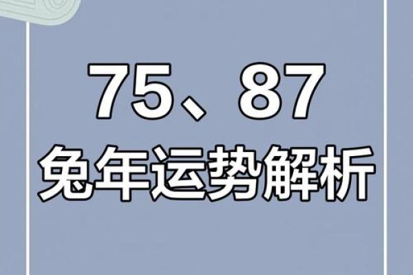 2025年属兔人全年运势详解87年兔年运程大揭秘 2025年属兔人全年运势详解87年兔年运程大揭秘