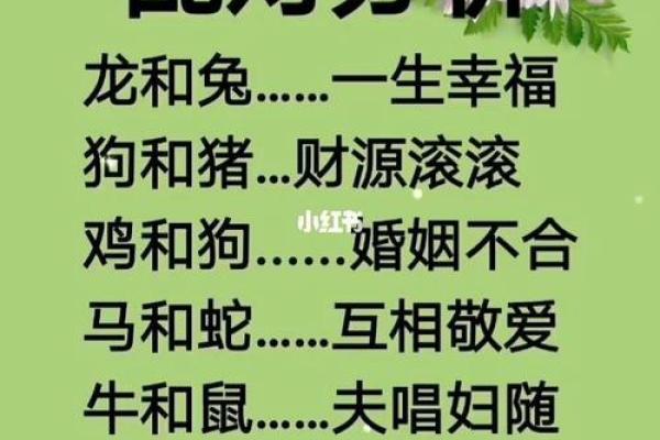 祸不单行是什么生肖(祸不单行是什么生肖正确答案)