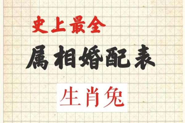63年兔是什么命 五行属什么 63年兔是什么命 五行属什么床头应放那 63年兔是什么命 五行属什么 63年兔是什么命 五行属什么床头应放那