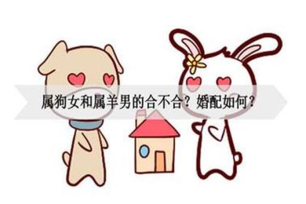 属狗和属羊的合得来吗_属狗和属羊的合得来吗 属狗和属羊的相克是真的吗