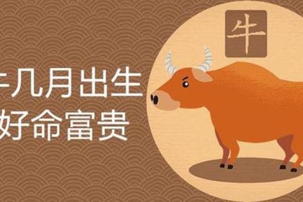 属牛的今年多大属兔今年多大_属牛的今年多大年龄2021年 属牛的今年多大属兔今年多大_属牛的今年多大年龄2021年