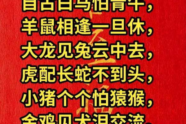 同甘共苦打一个生肖