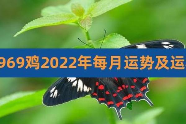 1969年属鸡2023年运势解析财运事业健康全揭秘 1969年属鸡2023年运势解析财运事业健康全揭秘