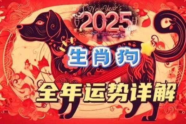 2025年属狗运势详解事业财运爱情全解析 2025年属狗运势详解事业财运爱情全解析