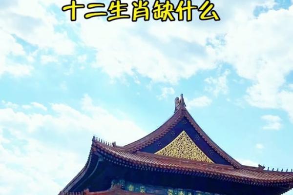 烽火连天打一生肖 烽火连天打一生肖