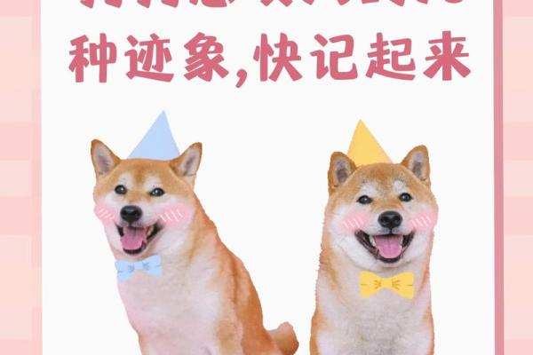 女人梦见狗咬手是什么预兆 女人梦见狗咬手是什么预兆