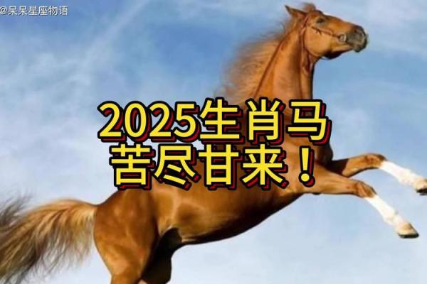 2025属马多大_2025年属马人的命运