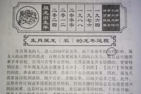 64年属龙人2025全年运势详解运程吉凶全解析