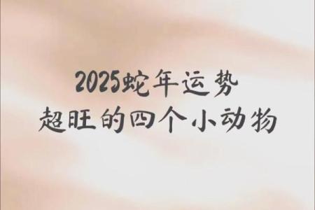 属狗的2025蛇年运程_属狗的2025蛇年运程运势