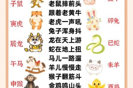 四面楚歌指什么生肖(四面楚歌指什么生肖动物)